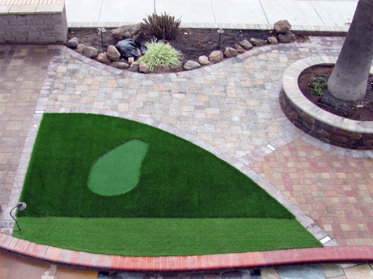 Fake Lawn Goshen, California Home And Garden, Front Yard Design