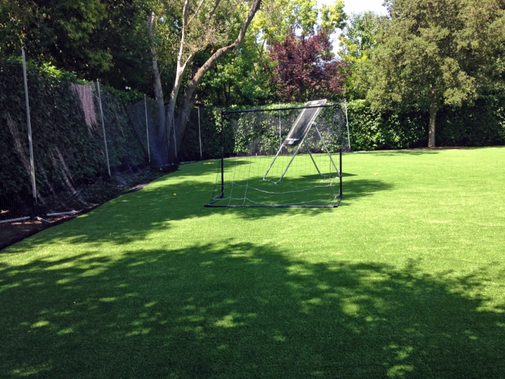 Fake Lawn Lamont, California Rooftop, Backyard