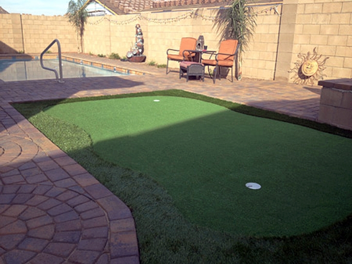 Fake Lawn Lee Vining, California Roof Top, Backyard Design