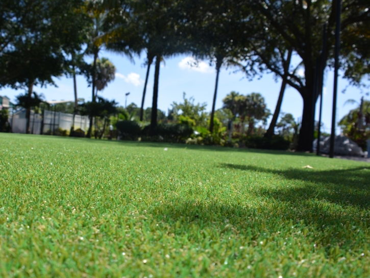 Fake Lawn Sand City, California City Landscape, Recreational Areas