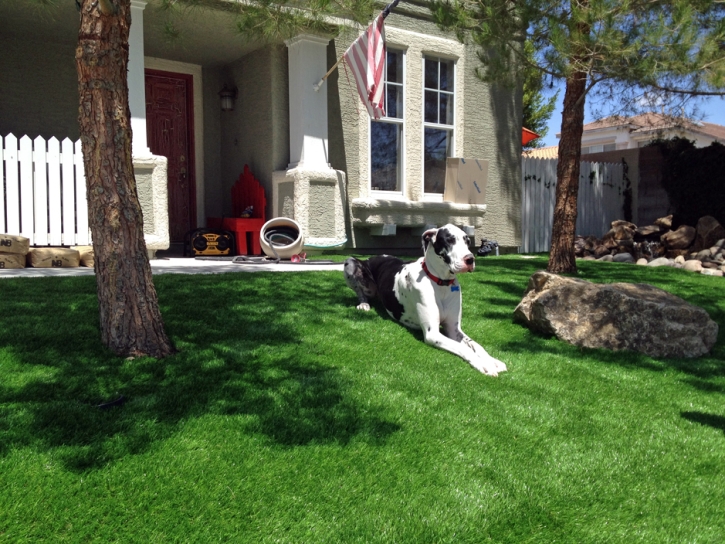 Fake Turf Bodfish, California Dog Grass, Front Yard Ideas