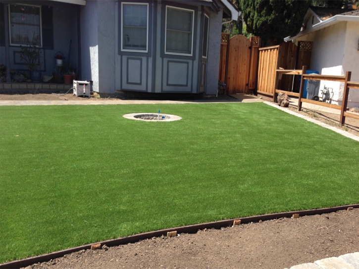 Fake Turf San Simeon, California Landscaping Business, Backyard Landscaping Ideas