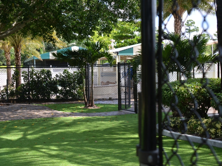 Fake Turf Waterloo, California Home And Garden, Commercial Landscape