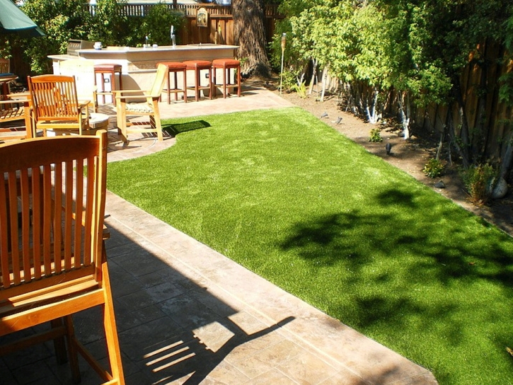 Faux Grass El Portal, California Landscape Ideas, Backyard Garden Ideas