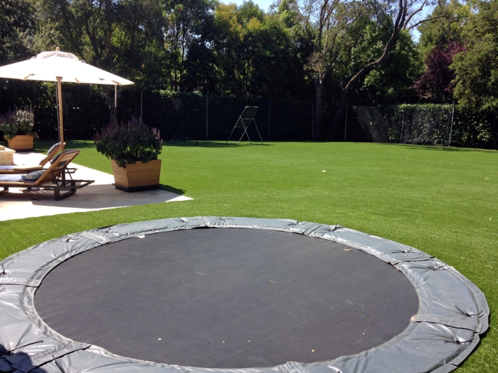 Faux Grass Kingsburg, California Backyard Sports, Backyard Landscaping