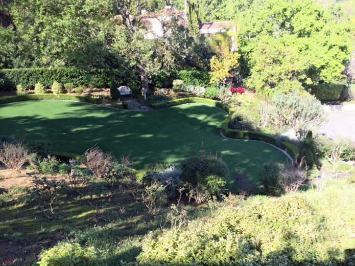 Faux Grass Morro Bay, California Design Ideas, Beautiful Backyards