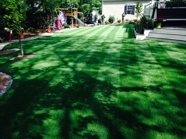 Faux Grass Mountain House, California Lawns, Backyard Design