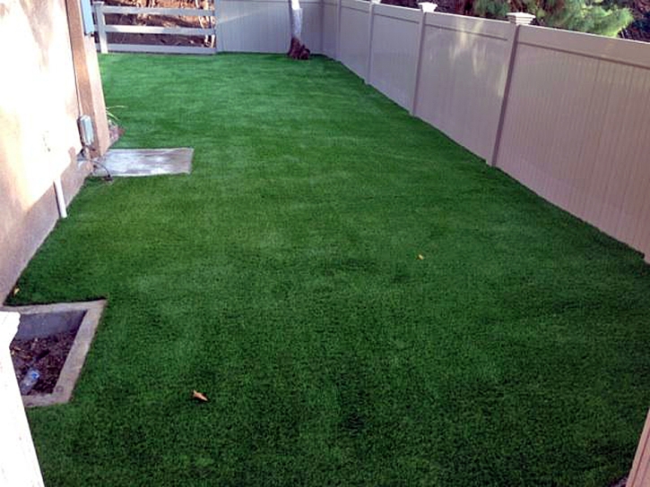 Grass Carpet June Lake, California Cat Grass, Backyard Makeover