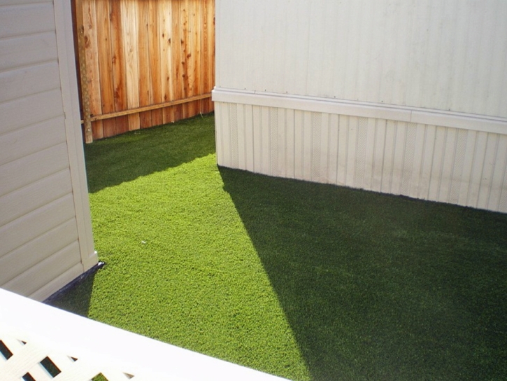 Grass Carpet Mesa, California Pet Paradise, Backyard Makeover