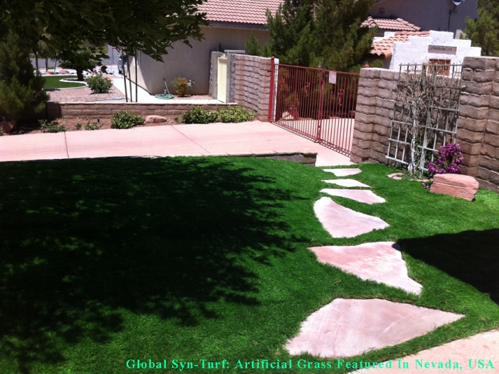 Grass Carpet Selma, California Dog Park, Front Yard Landscape Ideas