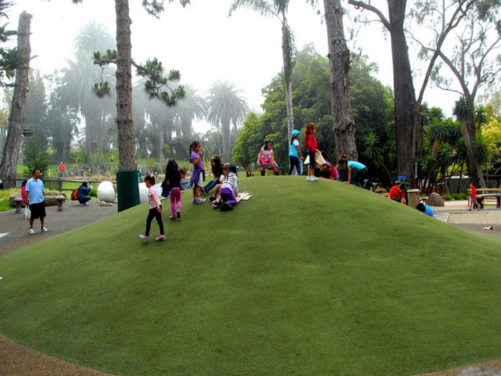 Grass Carpet Tonyville, California City Landscape, Recreational Areas