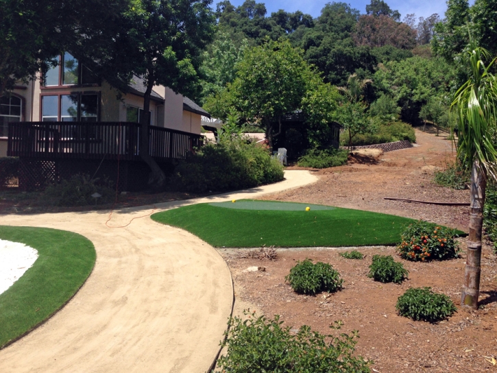 Grass Carpet Tres Pinos, California Backyard Putting Green, Front Yard Landscape Ideas