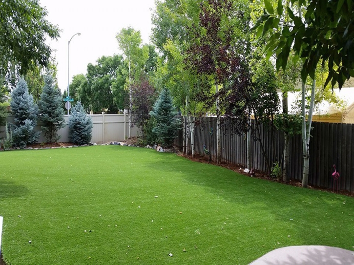 Grass Installation Paso Robles, California Landscaping Business, Backyard