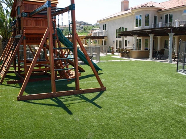 Grass Turf Allensworth, California Lawns, Backyard Landscaping Ideas