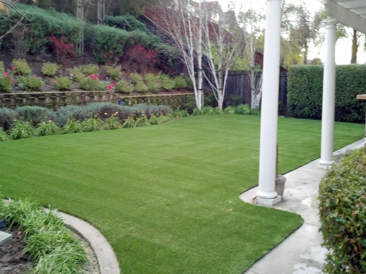 Grass Turf Lathrop, California Grass For Dogs, Backyard Ideas