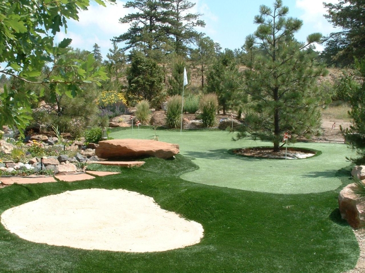 Grass Turf Rancho Calaveras, California Backyard Deck Ideas, Backyard Design