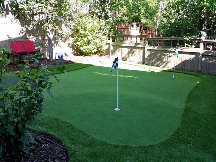 Green Lawn Salida, California Home Putting Green, Small Backyard Ideas