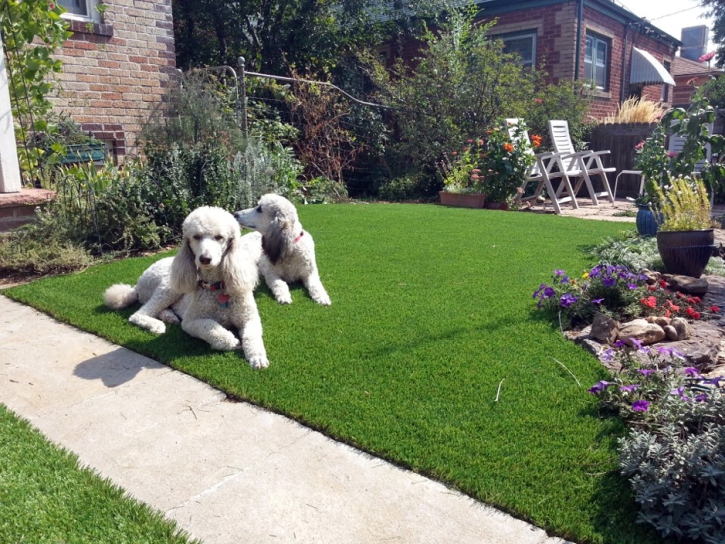 How To Install Artificial Grass Ballard, California Lawn And Landscape, Front Yard