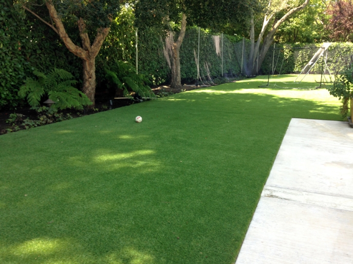 Installing Artificial Grass San Lorenzo, California Cat Playground