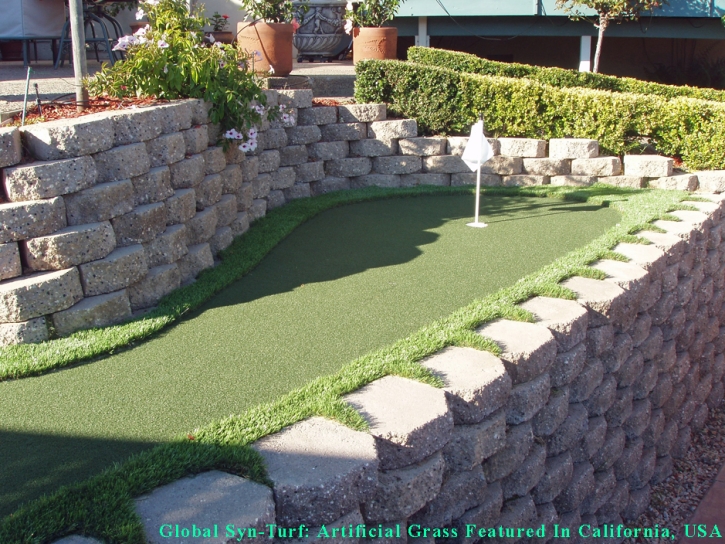 Installing Artificial Grass West Park, California Backyard Playground, Backyard Ideas