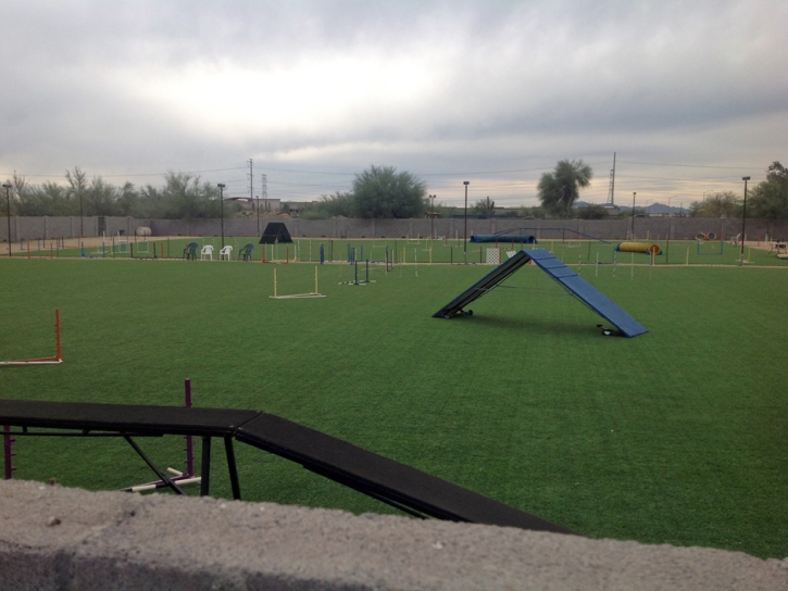 Lawn Services Los Berros, California Backyard Sports, Parks