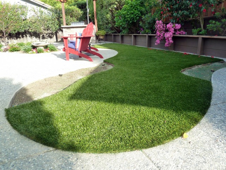 Lawn Services Moss Landing, California Pet Paradise, Backyard