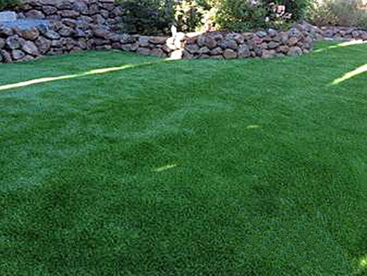 Outdoor Carpet Aptos, California Pet Turf, Backyard Landscaping