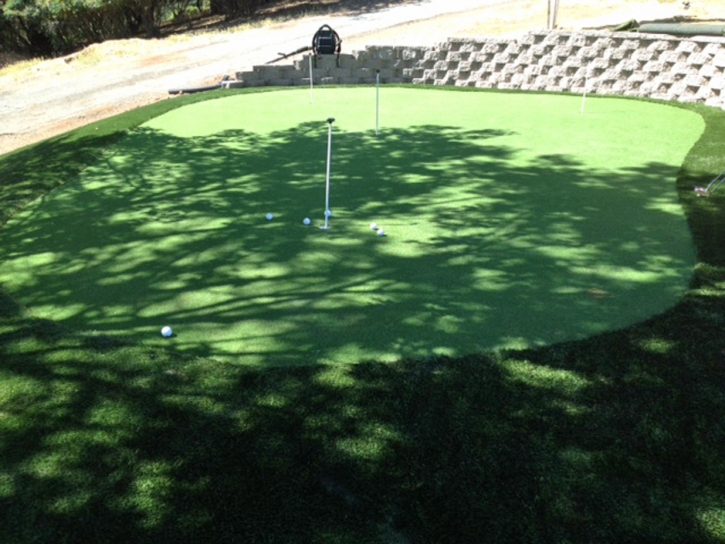 Outdoor Carpet Armona, California Putting Green Flags, Backyard Landscaping