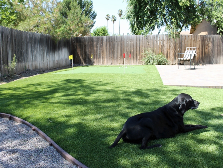 Outdoor Carpet Watsonville, California Best Indoor Putting Green, Small Backyard Ideas
