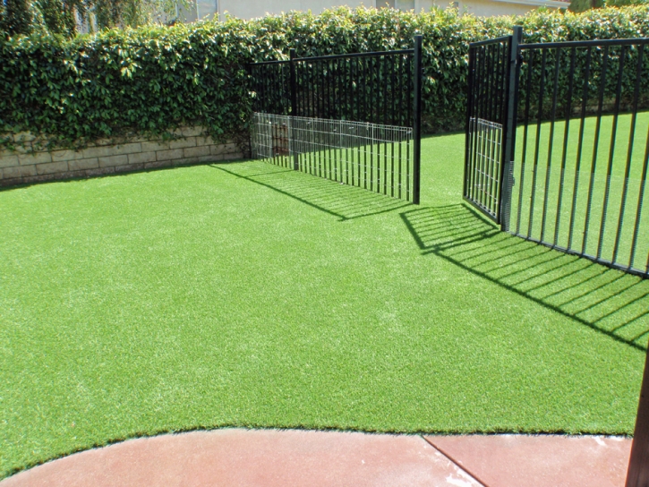 Plastic Grass Copperopolis, California Dog Grass, Landscaping Ideas For Front Yard