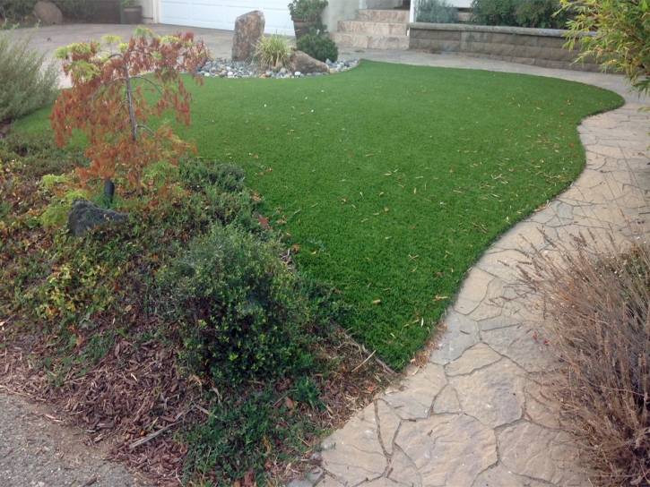 Plastic Grass Delano, California Artificial Turf For Dogs, Backyard Designs