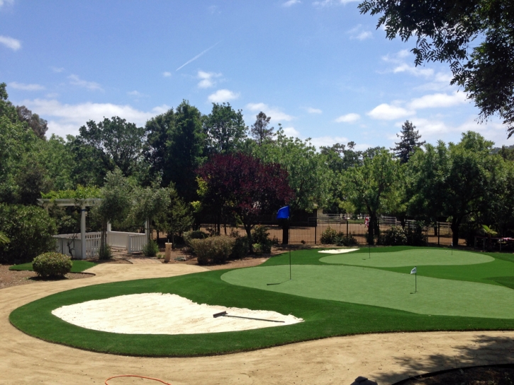 Plastic Grass Turlock, California Garden Ideas, Front Yard