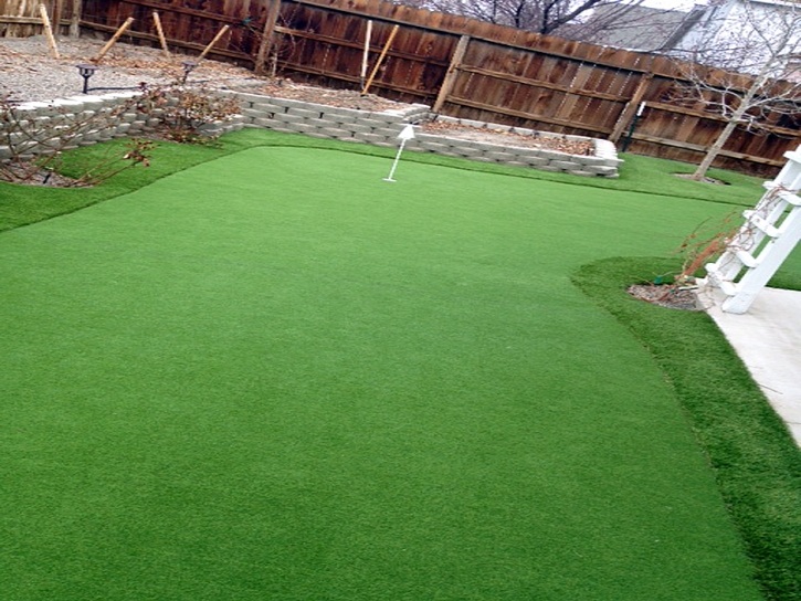 Synthetic Grass Cost Cartago, California Putting Green, Small Backyard Ideas