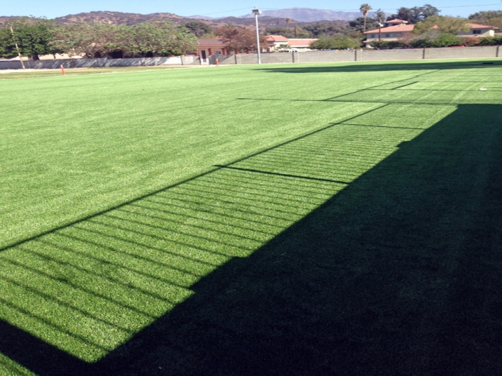 Synthetic Grass Cost Catheys Valley, California Gardeners