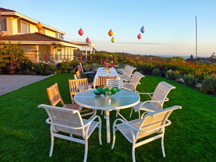 Synthetic Grass Cost Lindcove, California Landscape Rock, Backyard Landscaping Ideas