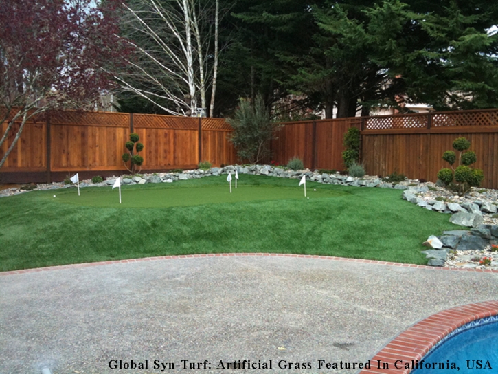 Synthetic Grass Raisin City, California Paver Patio, Backyard Landscape Ideas