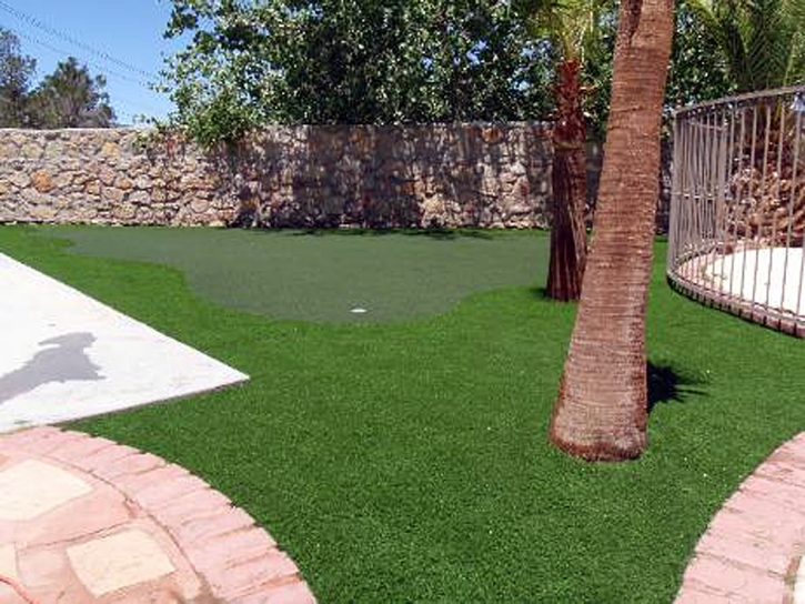 Synthetic Grass Stevinson, California Roof Top, Backyard Makeover