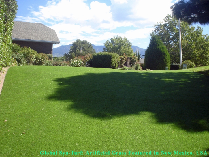 Synthetic Lawn Clovis, California Pictures Of Dogs, Small Backyard Ideas