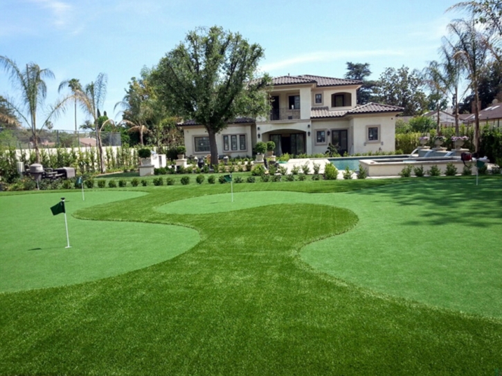 Synthetic Lawn Hornitos, California Putting Green Grass, Front Yard Ideas