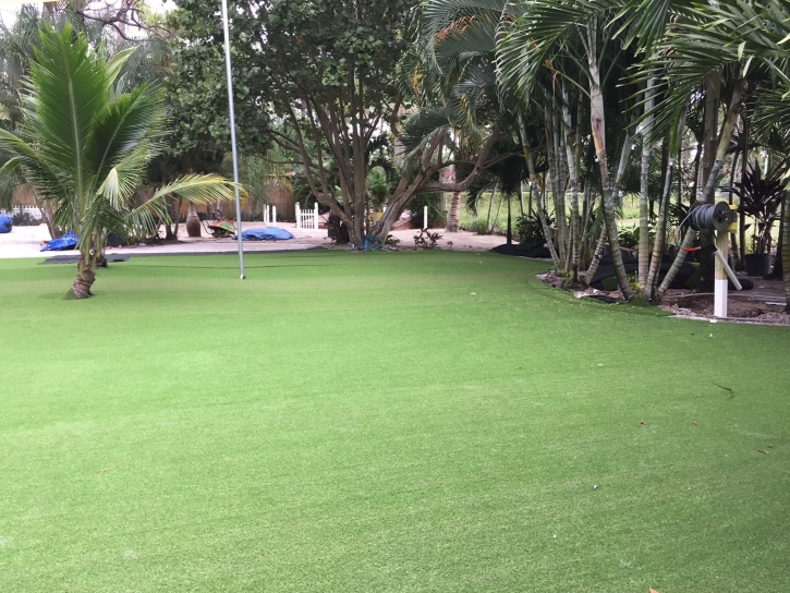 Synthetic Lawn Maricopa, California Lawn And Garden, Commercial Landscape