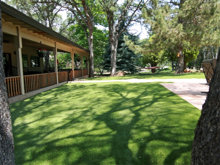 Synthetic Lawn Mountain Mesa, California Cat Playground, Backyard Landscaping