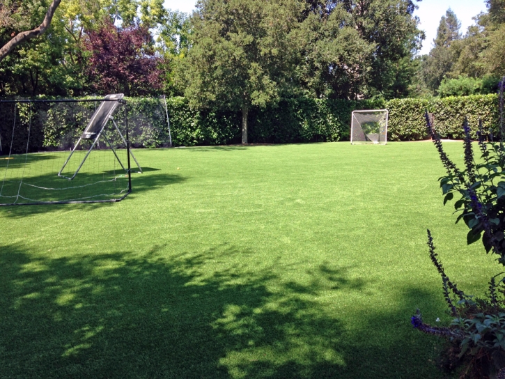 Synthetic Lawn Panorama Heights, California Rooftop, Small Backyard Ideas