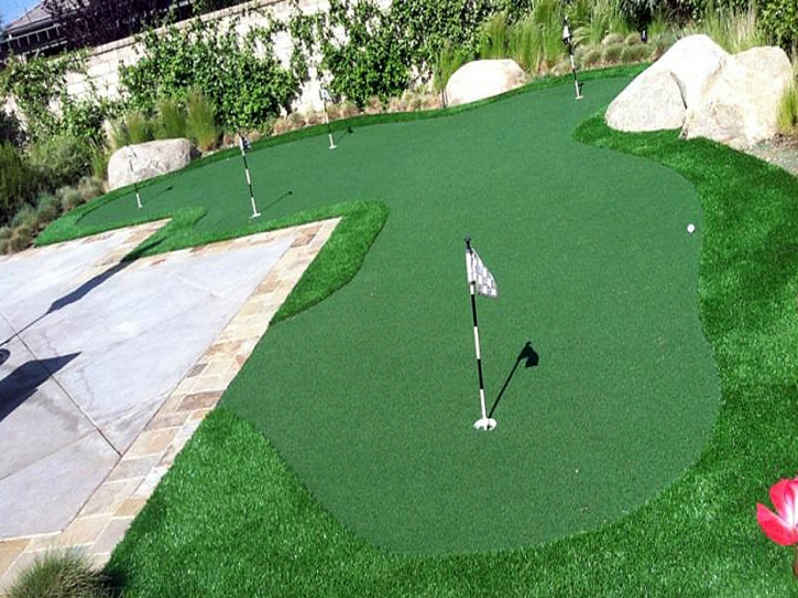 Synthetic Turf Bradley, California Landscaping Business, Backyard Design