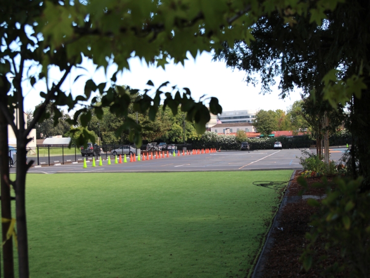 Synthetic Turf Elkhorn, California Playground, Commercial Landscape