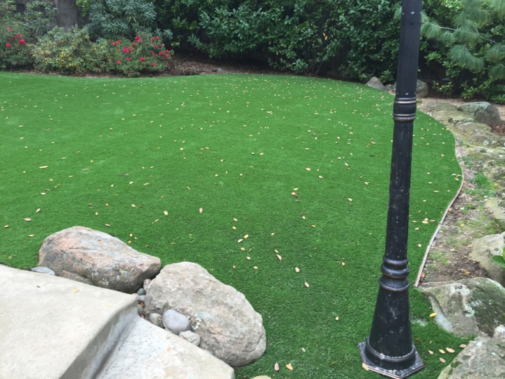 Synthetic Turf Greenfield, California Garden Ideas, Backyard Landscape Ideas