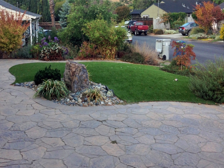 Synthetic Turf Orosi, California Landscaping Business, Front Yard Landscape Ideas