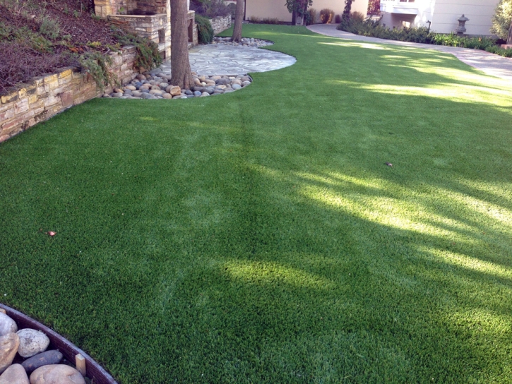 Synthetic Turf Parlier, California Pet Paradise, Backyard Landscaping Ideas