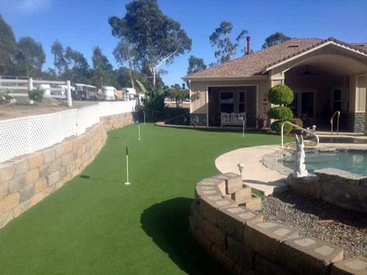 Synthetic Turf Supplier Ahwahnee, California Gardeners, Backyard Designs