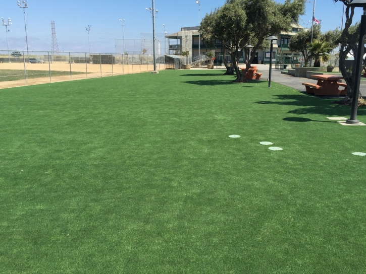 Synthetic Turf Supplier Alum Rock, California Home And Garden, Parks