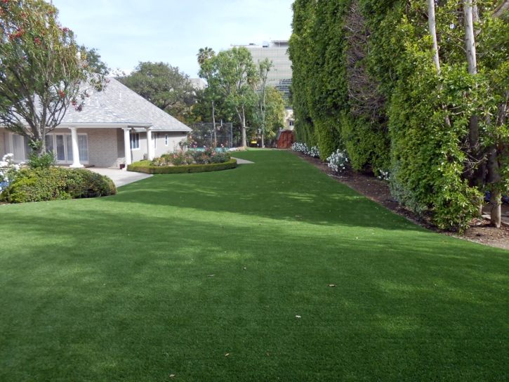 Synthetic Turf Supplier Carmel-by-the-Sea, California Gardeners, Landscaping Ideas For Front Yard